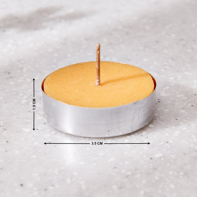 Classic Sandalwood & Citrus Everyday Candle